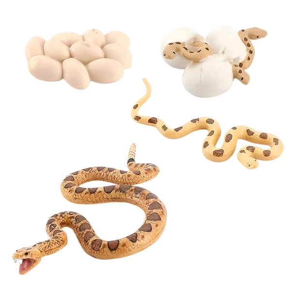 Figura de Cascabel Realista de Cobras, Modelo de Ciclo de Crecimiento en Miniatura de Serpiente (3+)