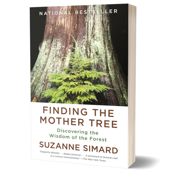 Finding the Mother Tree: Discovering the Wisdom of the Forest