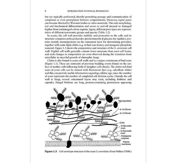 Fungi: Biology and Applications, 3rd Edition