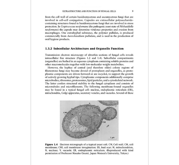 Fungi: Biology and Applications, 3rd Edition