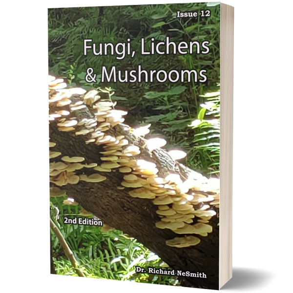 Fungi, Lichens & Mushrooms (Love of Nature)