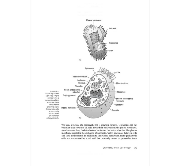 Genetics For Dummies 4th Edition