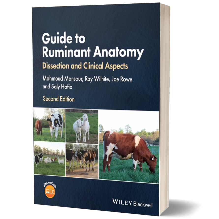 Dcm Ruminant Guide to Ruminant Anatomy: Dissection and Clinical Aspects, 2nd Editio ...
