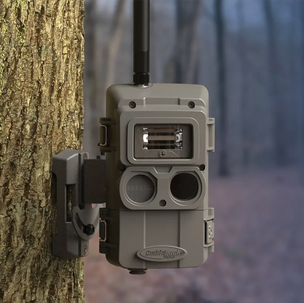 Cámaras de Rastreo Cuddeback CuddeLink L-Series