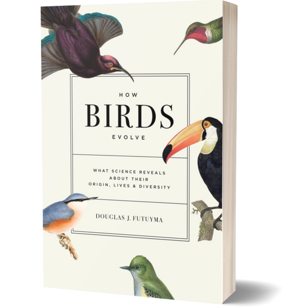 How Birds Evolve What Science Reveals about Their Origin, Lives, and Diversity