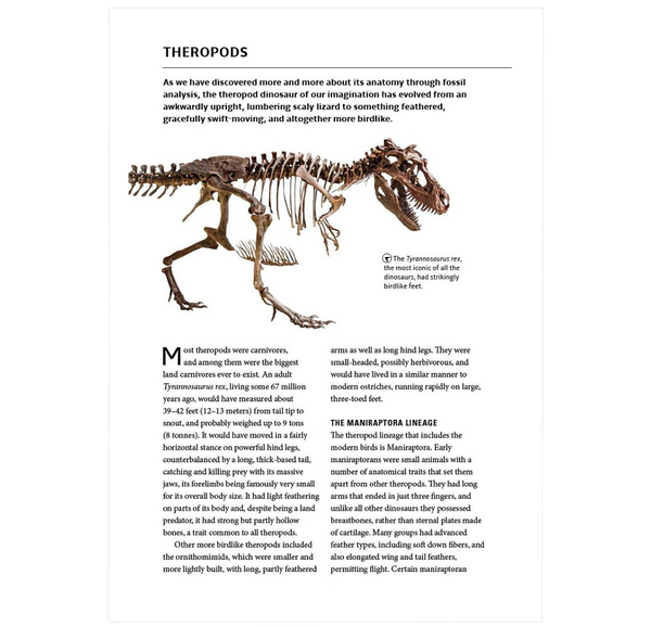 How Birds Work: An Illustrated Guide to the Wonders of Form and Function—from Bones to Beak