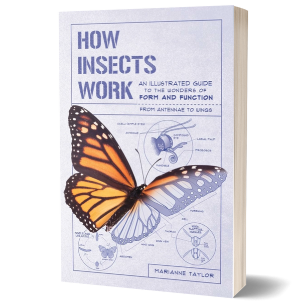 How Insects Work: An Illustrated Guide to the Wonders of Form and Function—from Antennae to Wings (How Nature Works)
