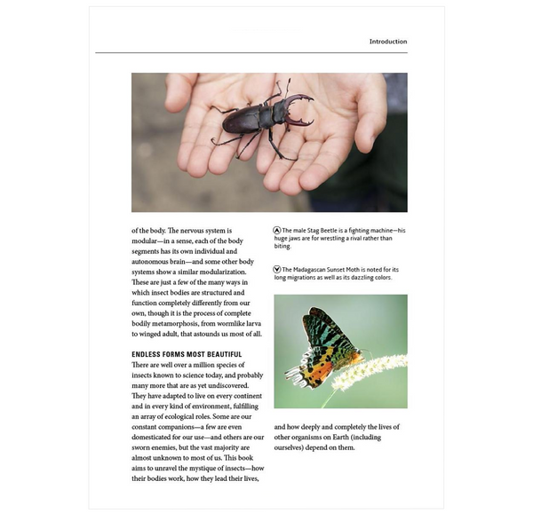 How Insects Work: An Illustrated Guide to the Wonders of Form and Function—from Antennae to Wings (How Nature Works)
