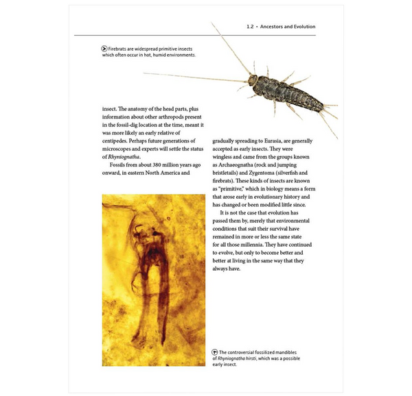 How Insects Work: An Illustrated Guide to the Wonders of Form and Function—from Antennae to Wings (How Nature Works)