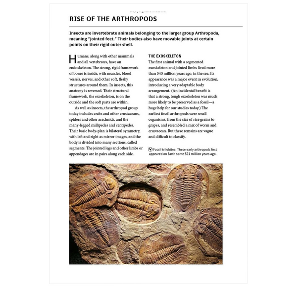 How Insects Work: An Illustrated Guide to the Wonders of Form and Function—from Antennae to Wings (How Nature Works)