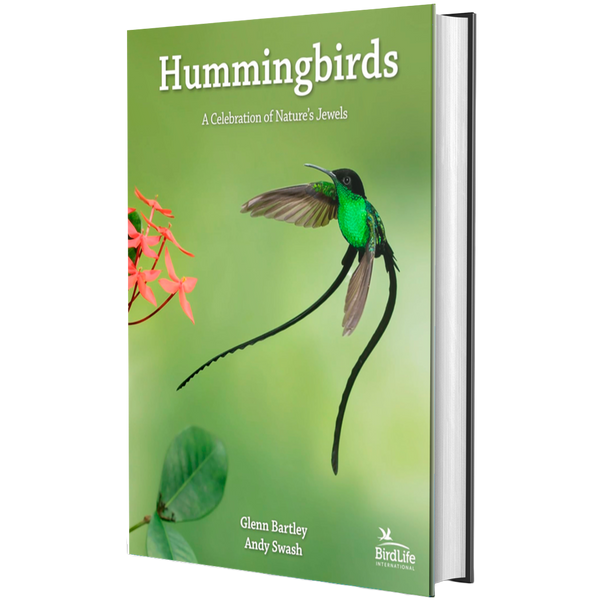 Hummingbirds: A Celebration of Nature's Jewels