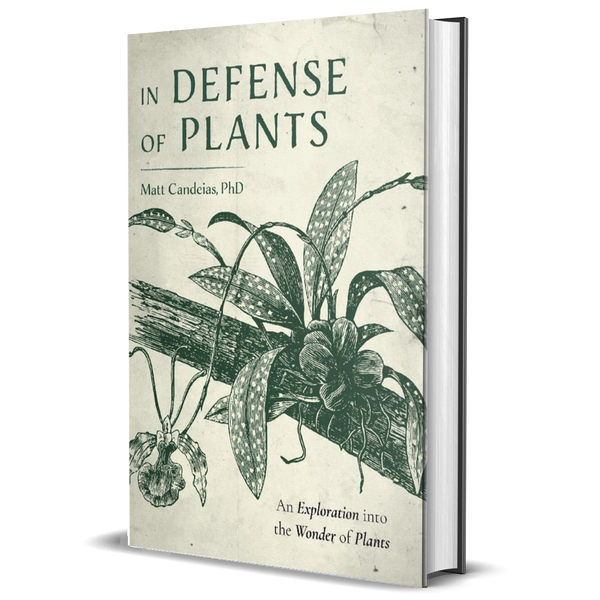 In Defense of Plants: An Exploration into the Wonder of Plants