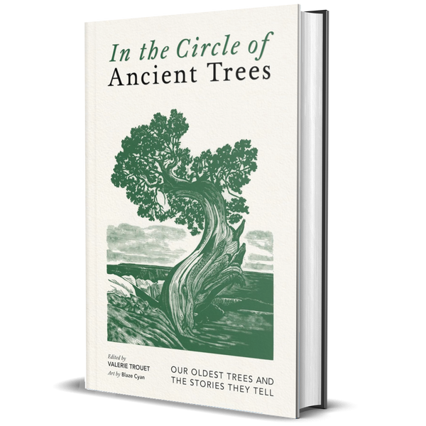In the Circle of Ancient Trees: Our Oldest Trees and the Stories They Tell