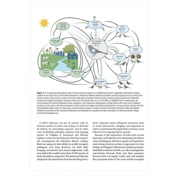 Infectious Disease Ecology of Wild Birds