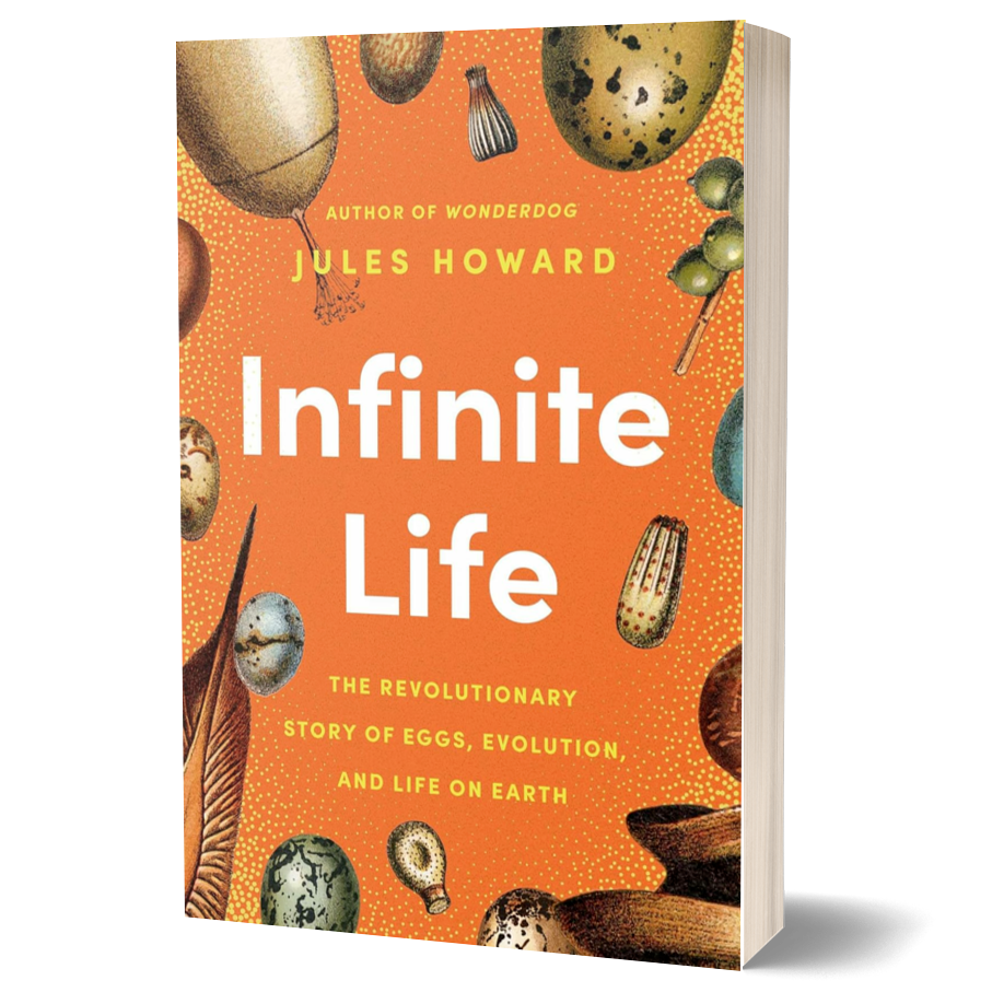 Infinite Life: The Revolutionary Story of Eggs, Evolution, and Life on ...