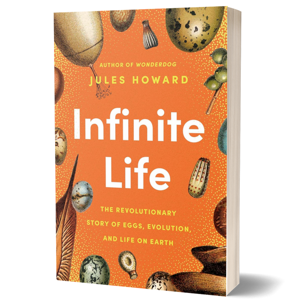Infinite Life: The Revolutionary Story of Eggs, Evolution, and Life on Earth