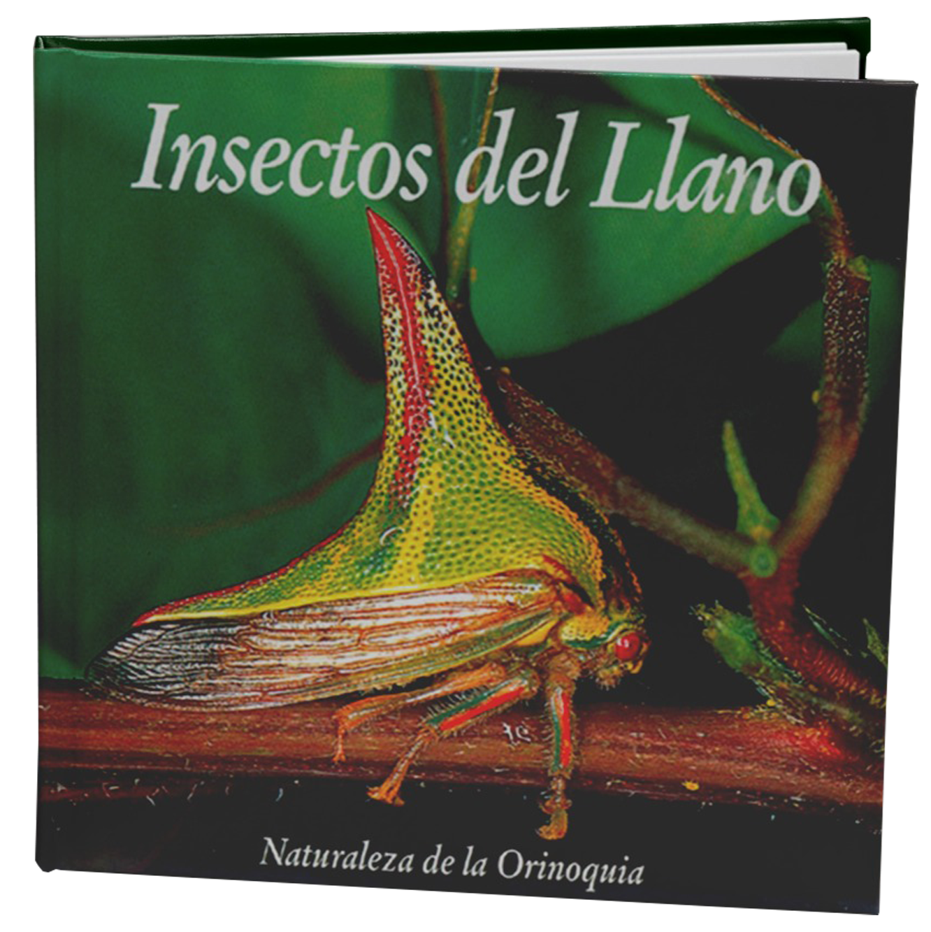 Insectos del Llano ²⁵ - BIOWEB® Colombia