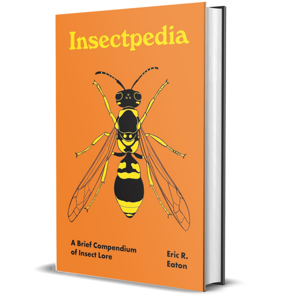 Insectpedia: A Brief Compendium of Insect Lore 