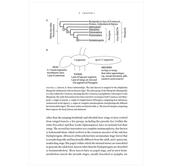 Insects and Their Beneficial Microbes