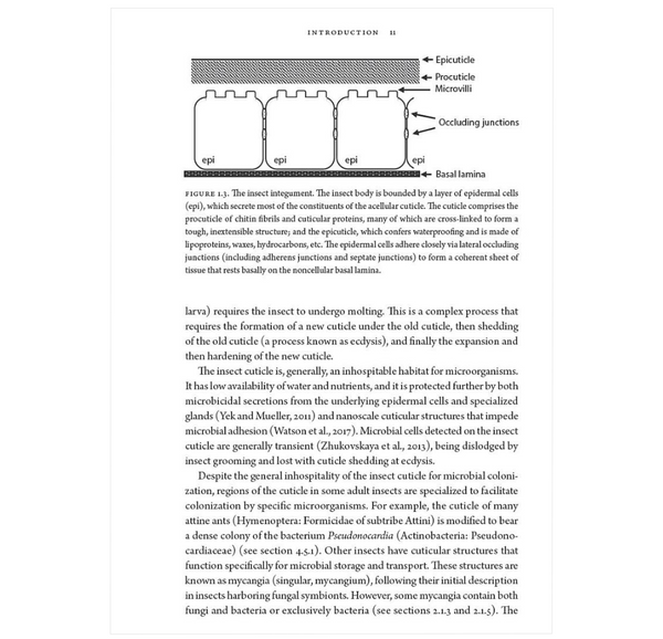 Insects and Their Beneficial Microbes