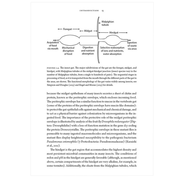 Insects and Their Beneficial Microbes