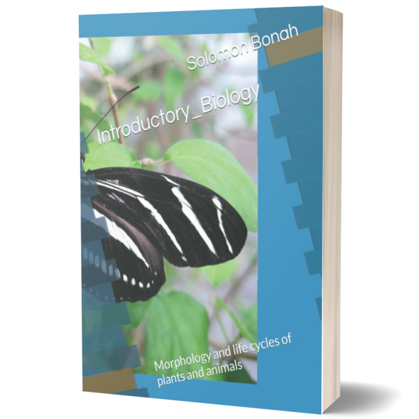 Introductory Biology: Morphology and Life Cycles of Plants and Animals