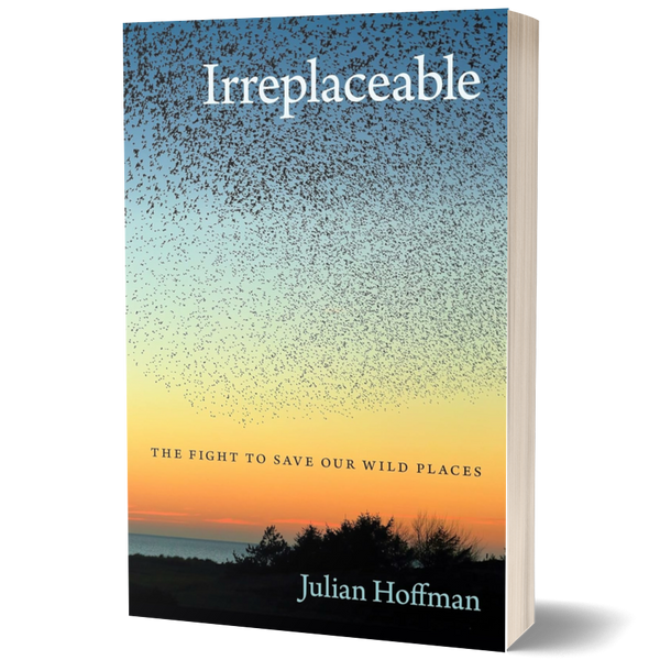 Irreplaceable: The Fight to Save Our Wild Places