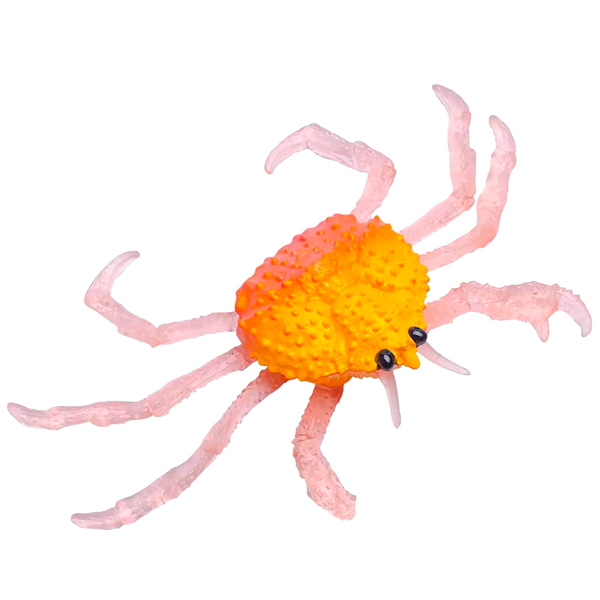 Juguete de Simulación en Silicona de Pulpo y Cangrejo (+3)