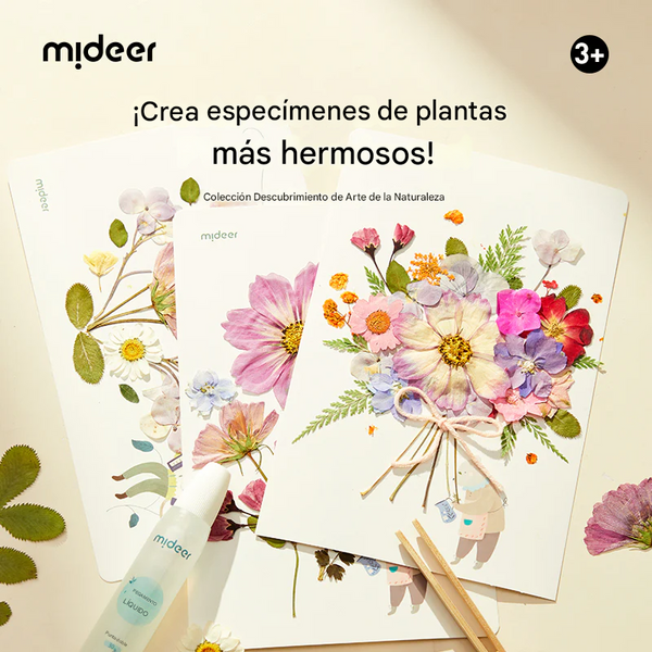 Kit Creativo Prensa de Plantas Nature Art Discovery Collection 27 Piezas (+3)