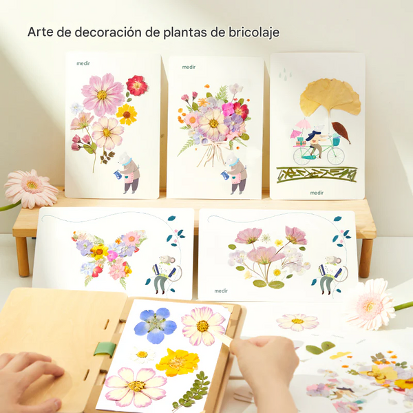 Kit Creativo Prensa de Plantas Nature Art Discovery Collection 27 Piezas (+3)