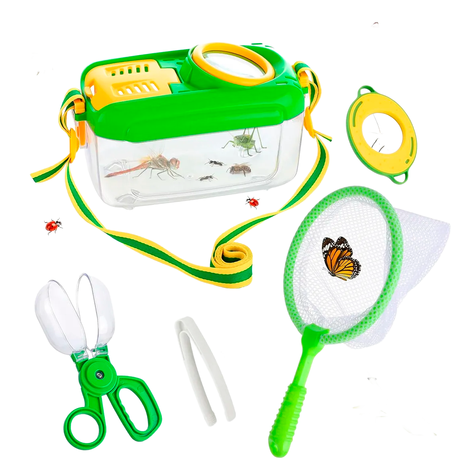 Kit de Exploración de Insectos para Niños (+3) - BIOWEB® Colombia