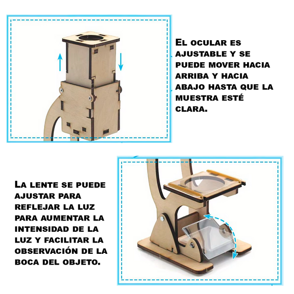 Kit de Modelo de Microscopio (+6)