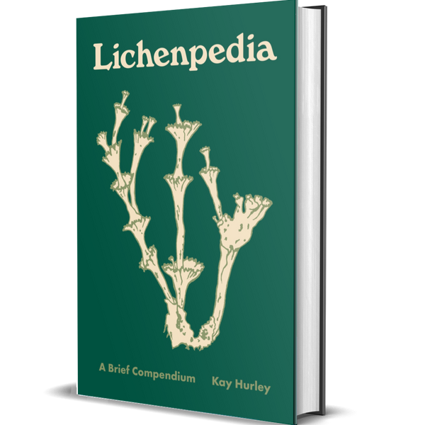 Lichenpedia A Brief Compendium