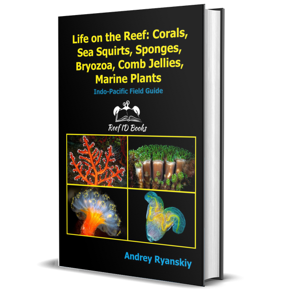 Life on the Reef: Corals, Sea Squirts, Sponges, Bryozoa, Comb Jellies, Marine Plants: Indo-Pacific Field Guide (Coral Reef Academy: Indo-Pacific Photo Guides)