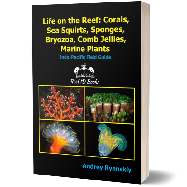 Life on the Reef: Corals, Sea Squirts, Sponges, Bryozoa, Comb Jellies, Marine Plants: Indo-Pacific Field Guide (Coral Reef Academy: Indo-Pacific Photo Guides)