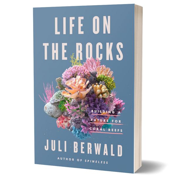 Life on the Rocks: Building a Future for Coral Reefs