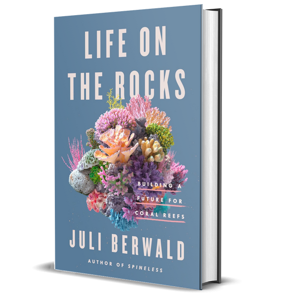 Life on the Rocks: Building a Future for Coral Reefs