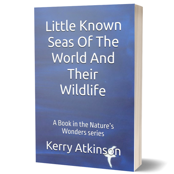 Little Known Seas of the World and Their Wildlife: A Book in the Nature’s Wonders Series