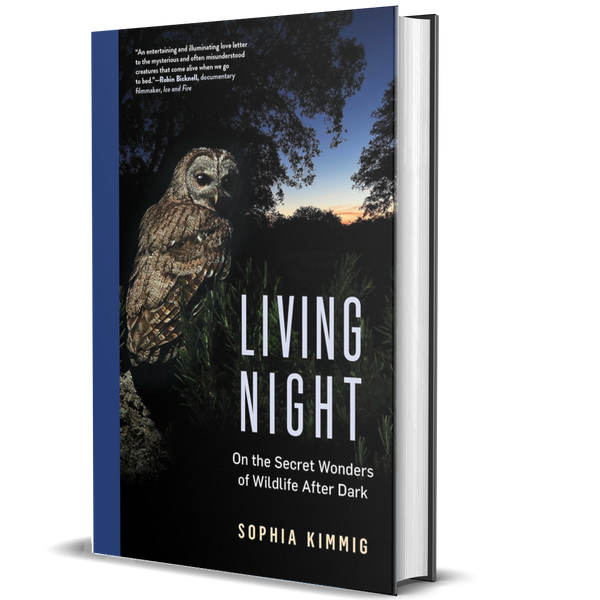 Living Night: On the Secret Wonders of Wildlife After Dark