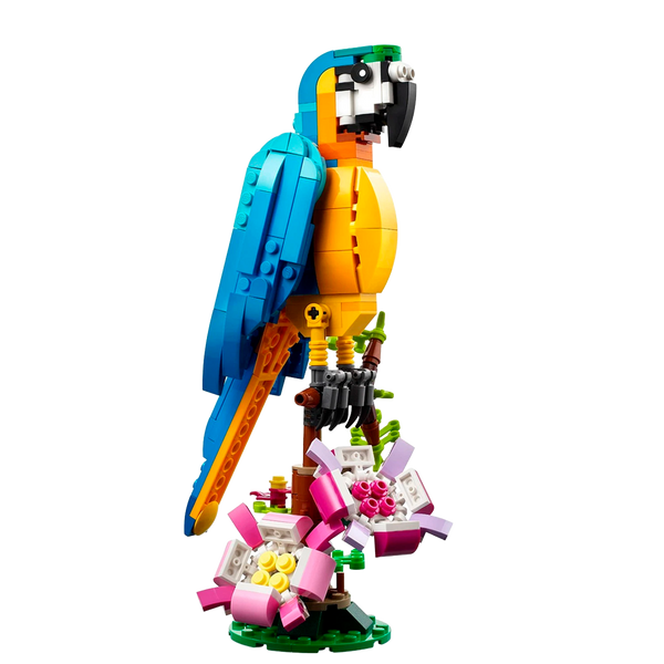 Loro Exótico 3 en 1 – Set de Construcción de Animales con Bloques Transformables (+6)