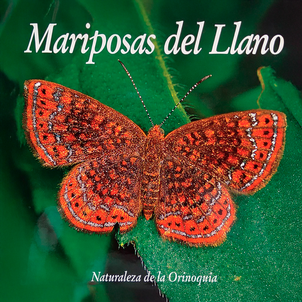 Mariposas del Llano