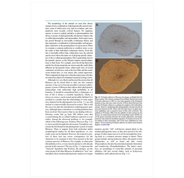 Metazoa – Morphology and Evolution of Animals: A Practical Guide to the Dissection and Comparative Study of Animals