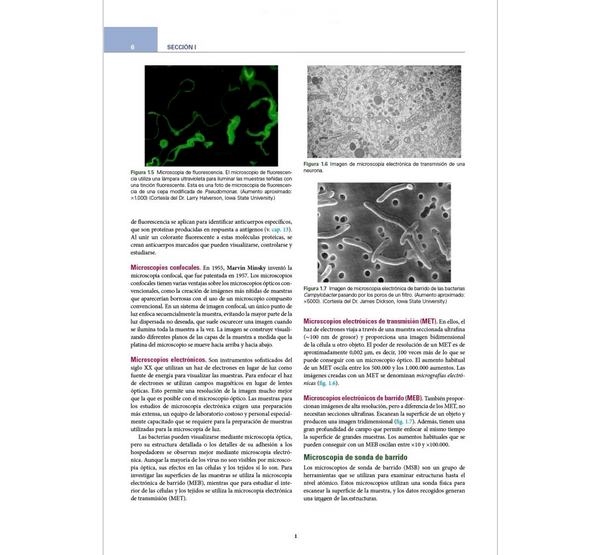 Microbiología en ciencias de la Salud