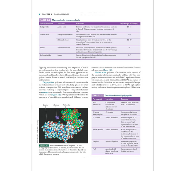 Microbiology, International Adaptation, 3rd Edition