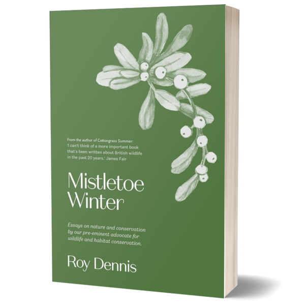 Mistletoe Winter