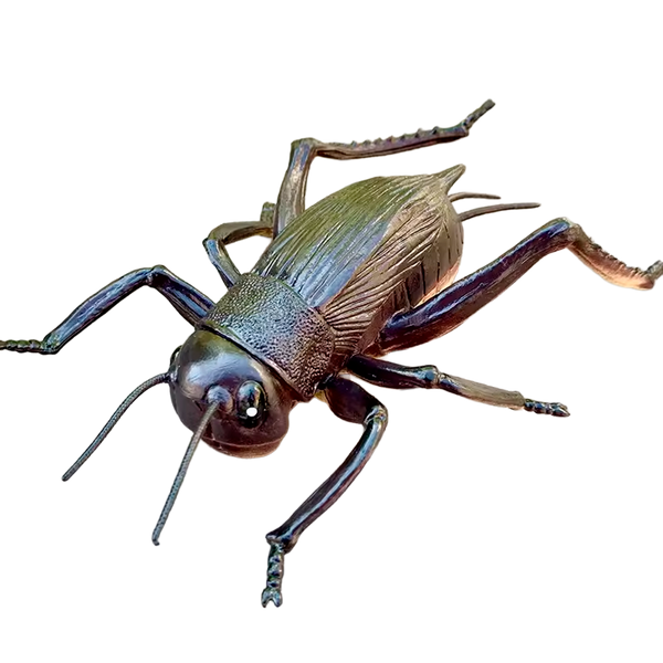 Modelo de Simulación de Animales de Gran Tamaño (+3)