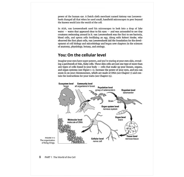 Molecular & Cell Biology For Dummies