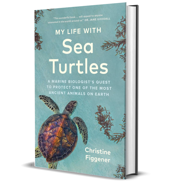My Life with Sea Turtles: A Marine Biologist’s Quest to Protect One of the Most Ancient Animals on Earth