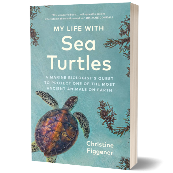 My Life with Sea Turtles: A Marine Biologist’s Quest to Protect One of the Most Ancient Animals on Earth
