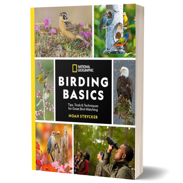 National Geographic Birding Basics: Tips, Tools, and Techniques for Great Bird-Watching